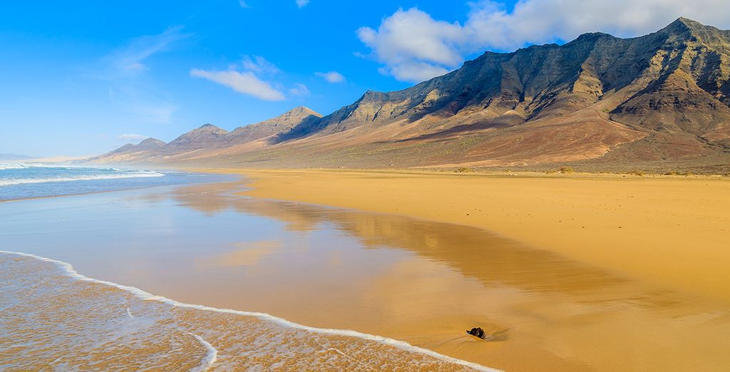 Framissima Monica Beach Costa Calma