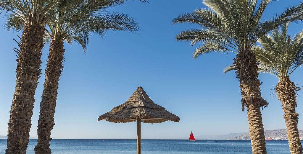 Le bord de mer d'Eilat vu depuis l'Hôtel U Coral Beach Club 4 étoiles, sur le golfe d'Aqaba