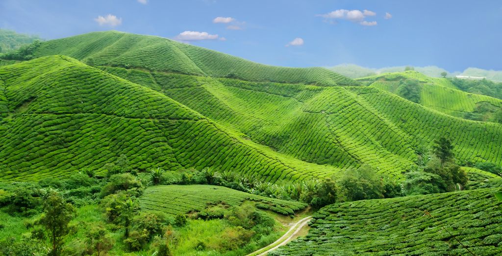 Circuit Le meilleur de la Malaisie