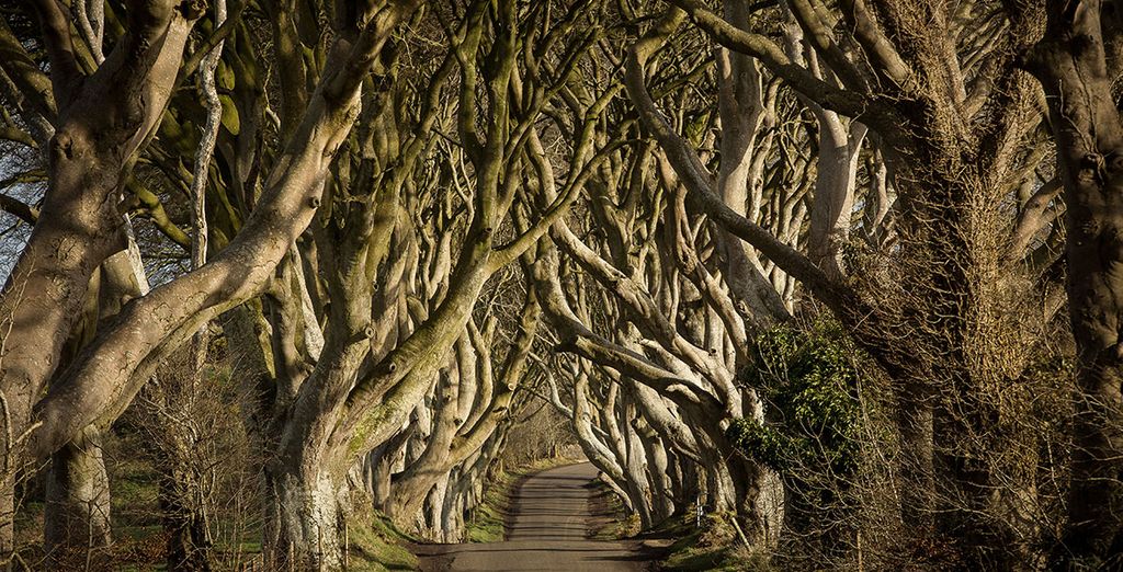 Autotour en Irlande 7 ou 10 nuits