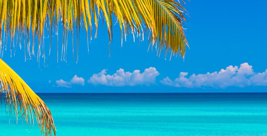 Isole Cayman guida completa, tour e