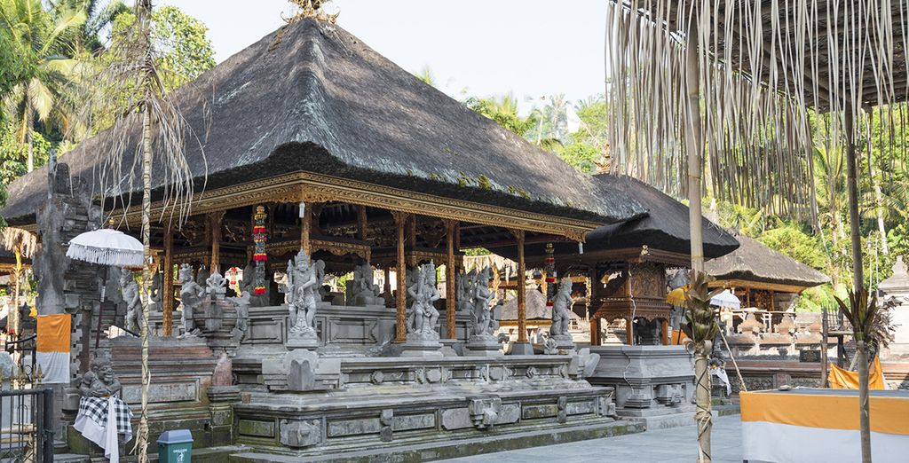 Nandini Jungle Resort & Spa 4* + Melia Bali 5*