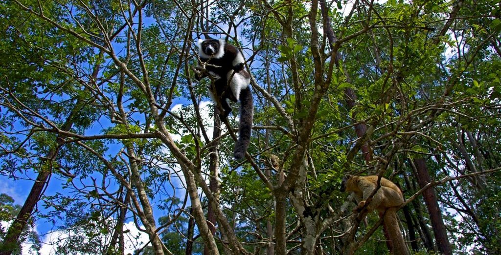 Tour dell'Est del Madagascar