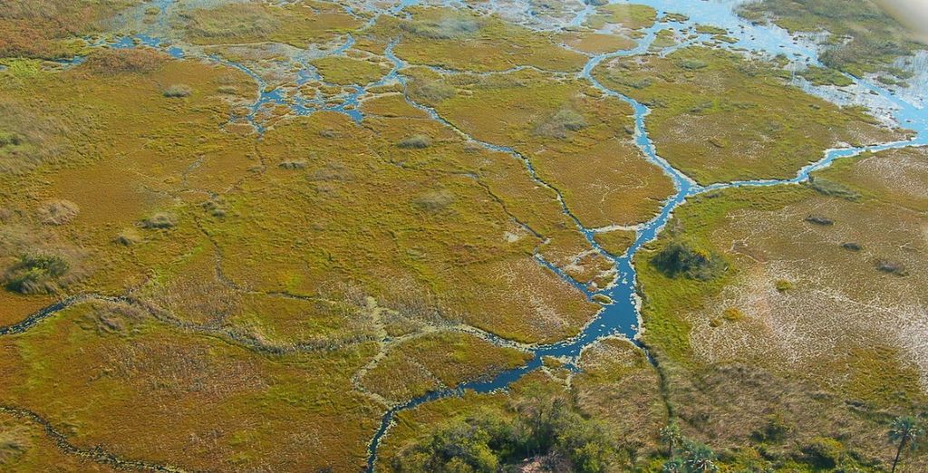 Tour alla scoperta di Botswana e Victoria Falls