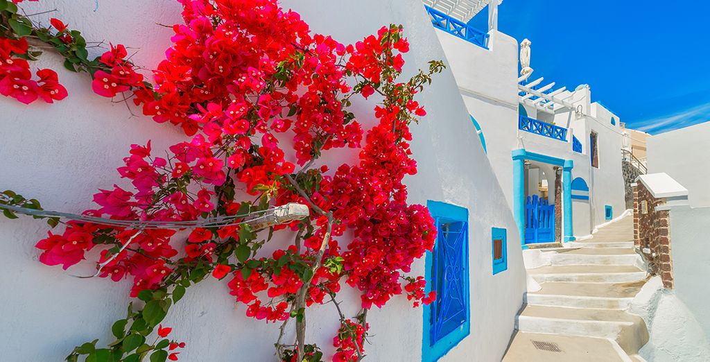 Myst Boutique Hotel