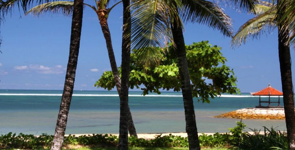 Minitour Ubud, Candidasa, Lovina con soggiorno mare a Nusa Dua