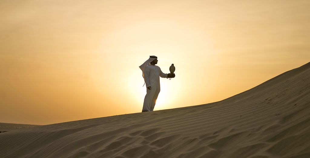 Hotel Auris Plaza Al Barsha 5* a Dubai + Hilton Labriz Resort & Spa 5* alle Seychelles