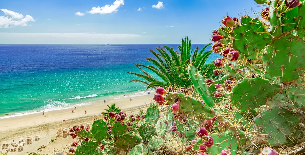 Labranda Aloe Club