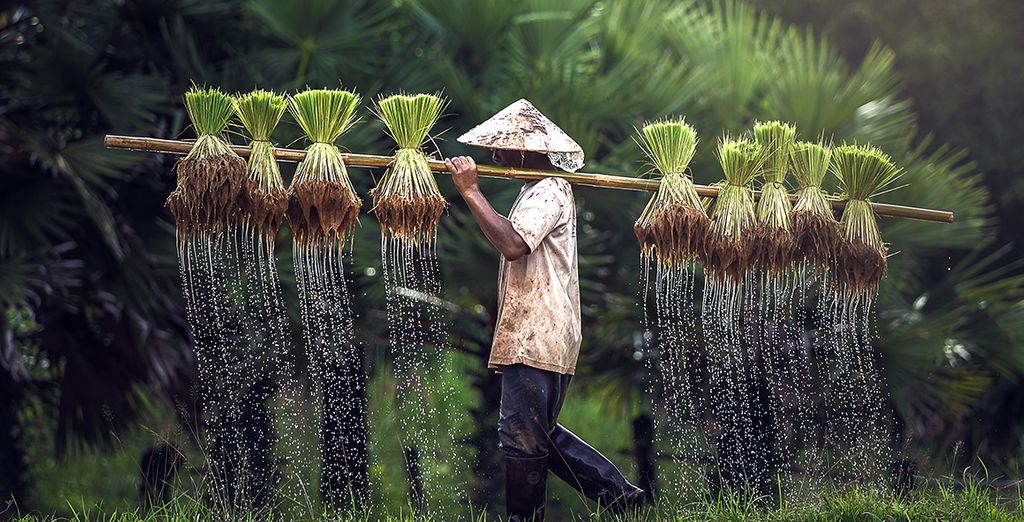La magia del Vietnam con soggiorno in Cambogia