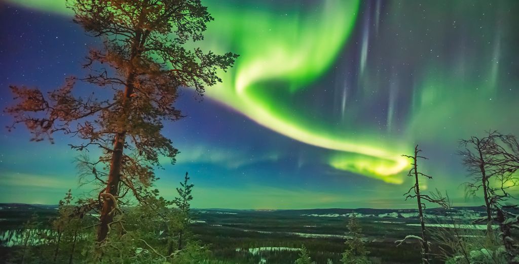 Tour del ghiaccio con possibile estensione a Lulea