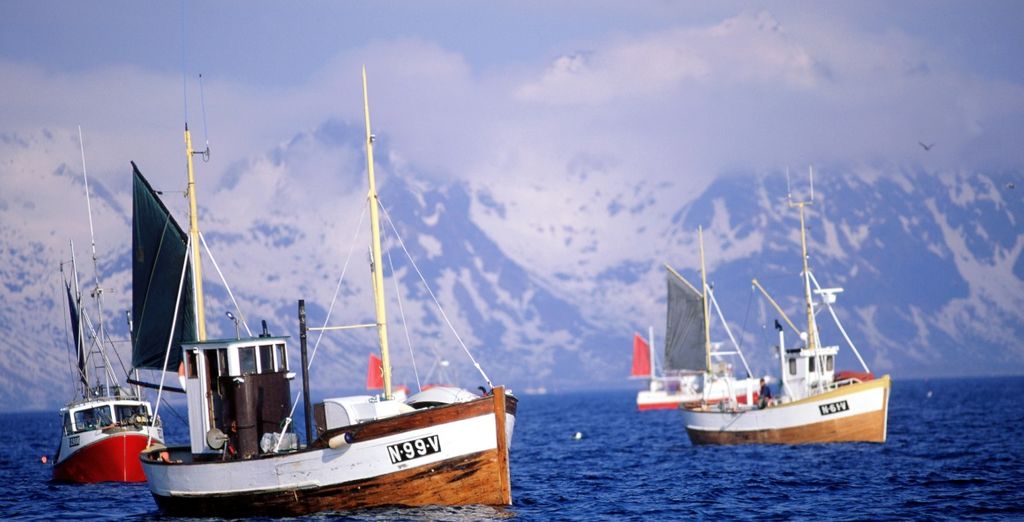 Tour Tromso e Arcipelago delle Lofoten