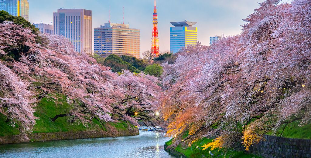 Autotour Nuova Caledonia con possibile estensione a Tokyo 
