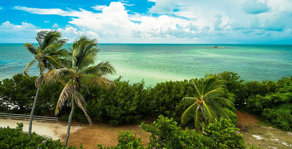 Grand Beach Miami 4* + mini crociera in Messico