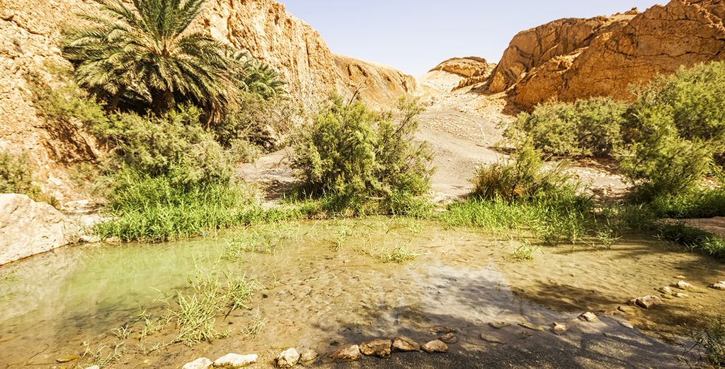 Tunisia tra deserto, oasi, palmeti e laghi salati