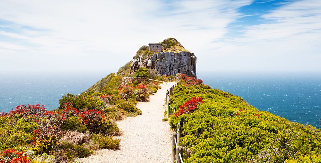 Tour del Sud Africa: da Cape Town a Port Elisabeth