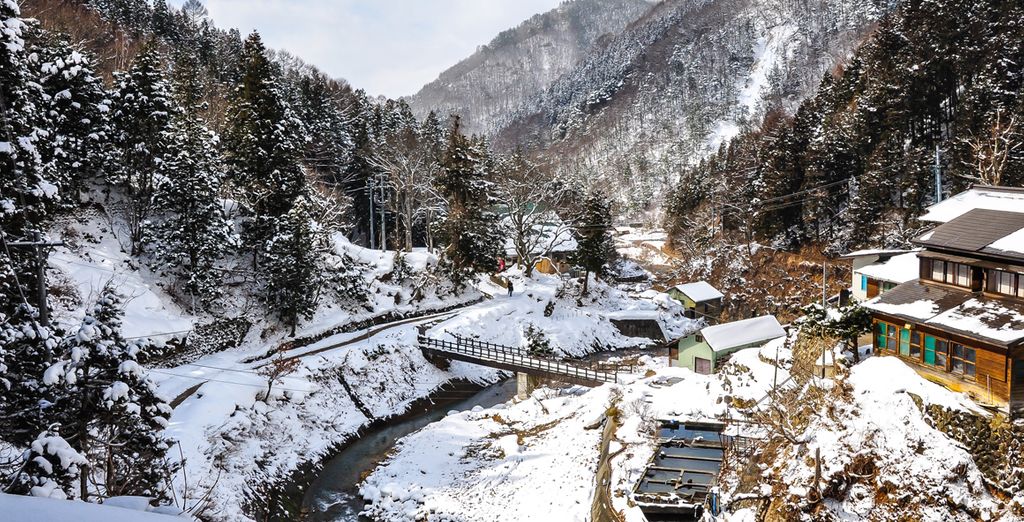Tour invernale del Giappone