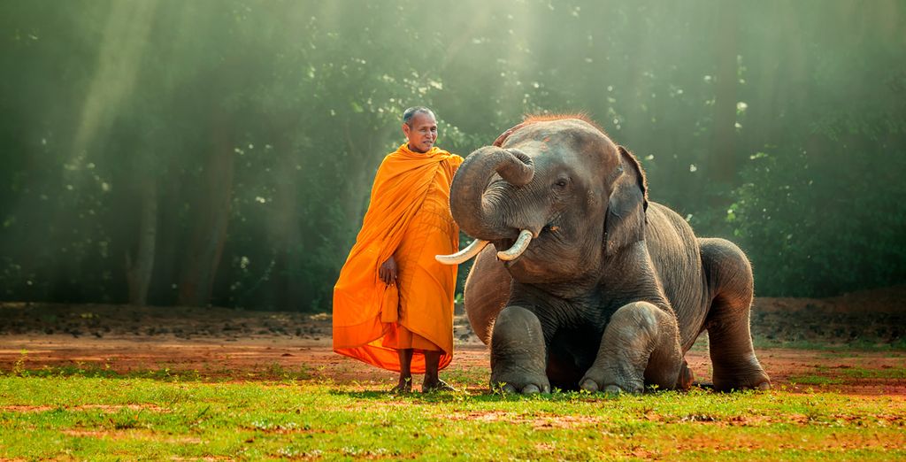 Tour Privato Cambogia + estensione mare a Sihanoukville o a Mondulkiri