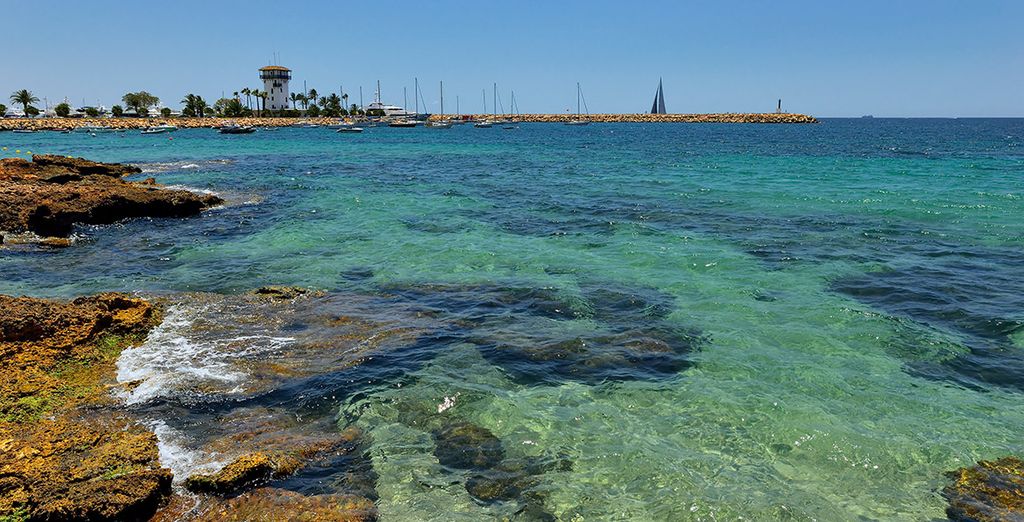 Ona Cala Pi Club