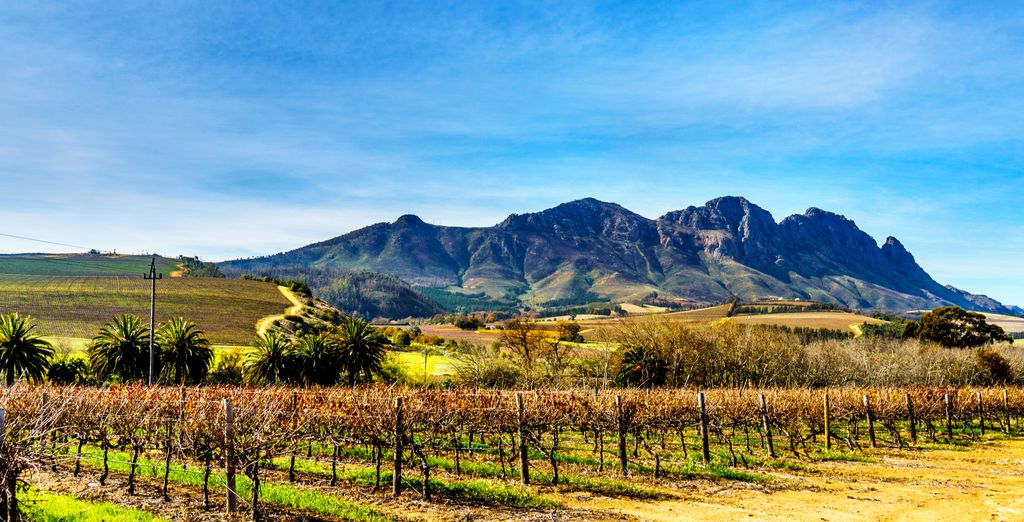 Tour del Sud Africa: da Cape Town a Port Elisabeth