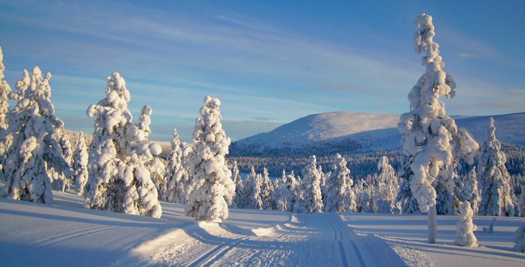 Lapponia Finlandese: Safari con gli Husky, con le Motoslitte e Fattoria delle Renne