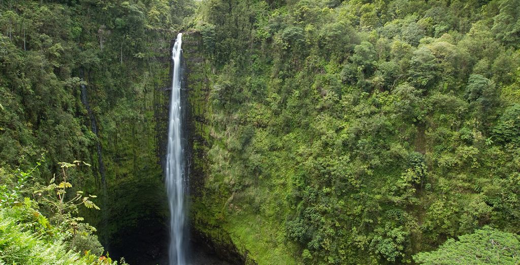 Hawaii Experience - Island hopping tra le isole di Oahu, Kauai e Big Island