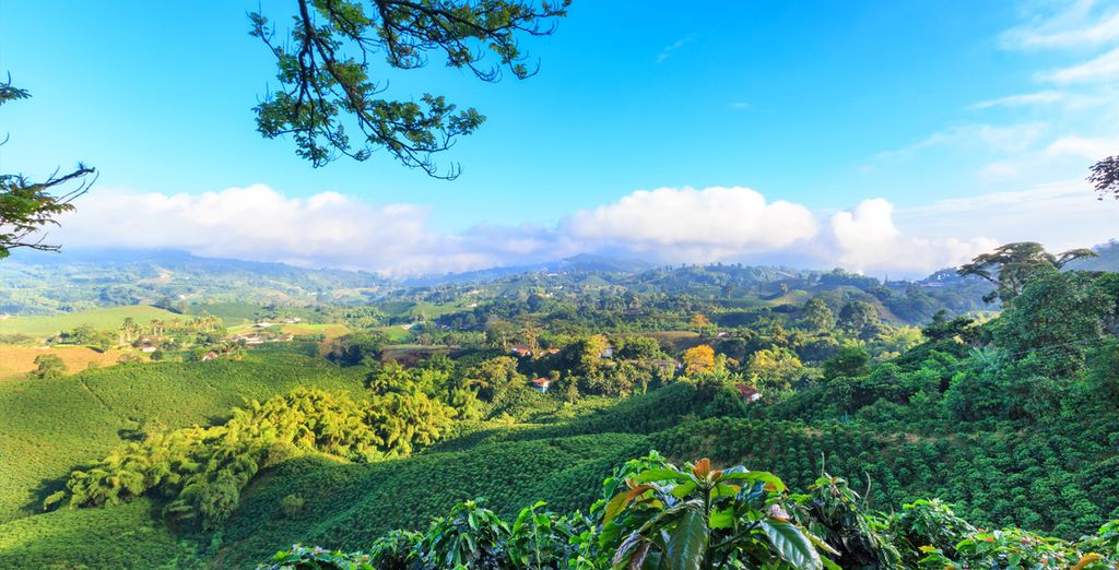 Le meraviglie della Colombia in tour privato