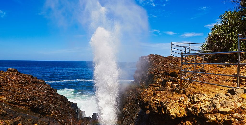 Tour dello Sri Lanka con possibile estensione mare