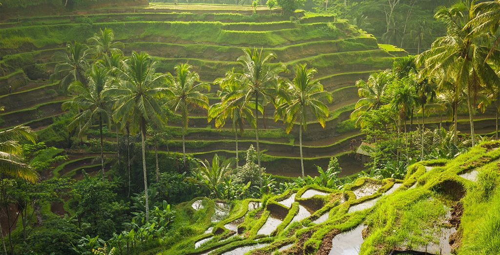 Tour I tesori di Bali
