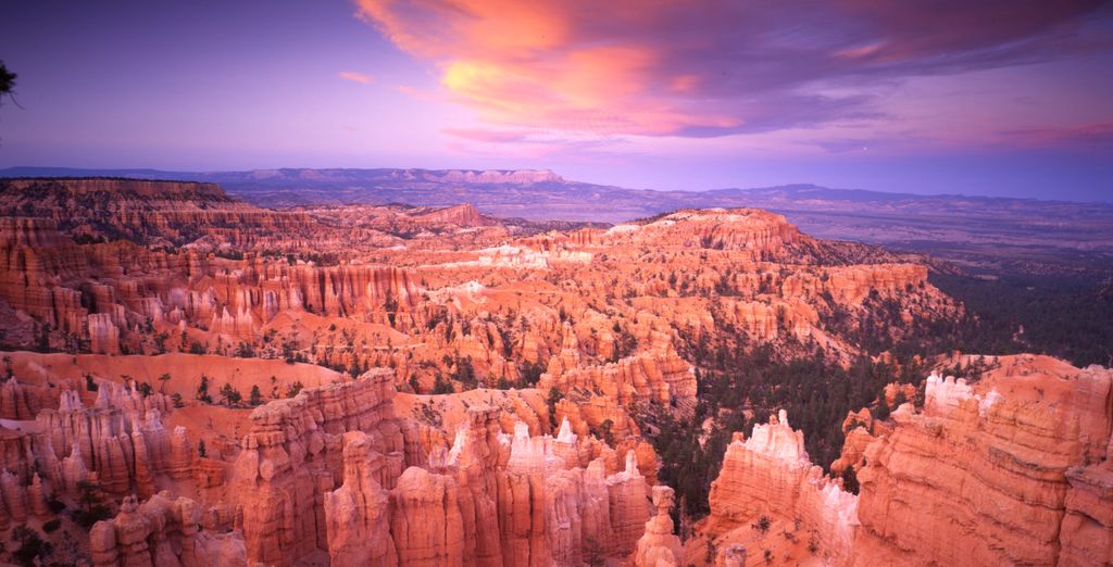 Tour tra Las Vegas e i Canyons + Park Central Hotel New York 4*