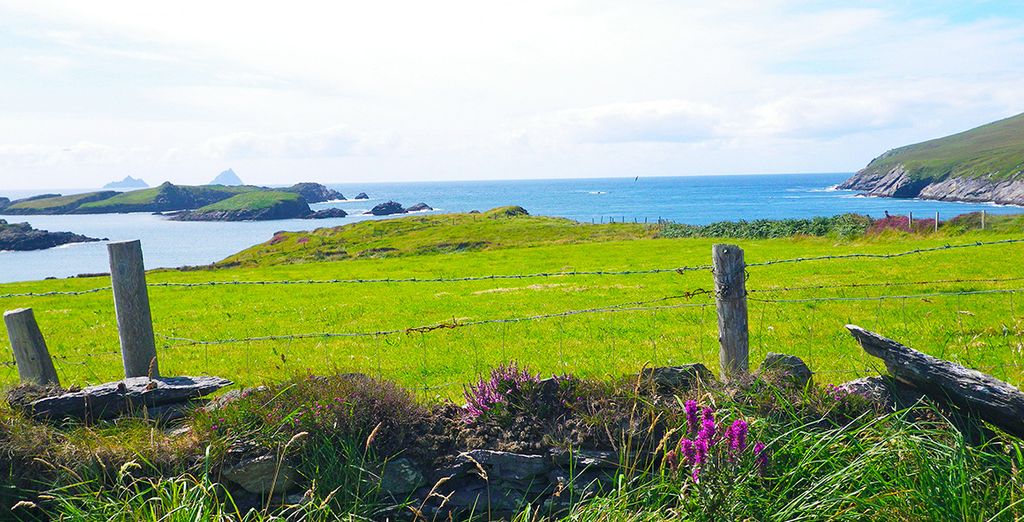 Speciale Agosto - Tour Irlanda