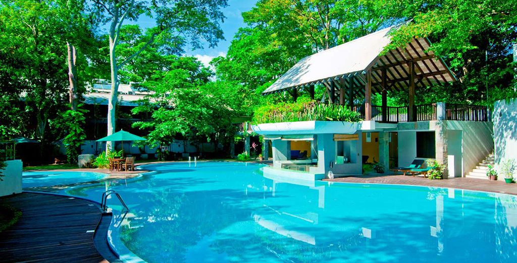 Tour privato dello Sri Lanka e soggiorno alle Maldive