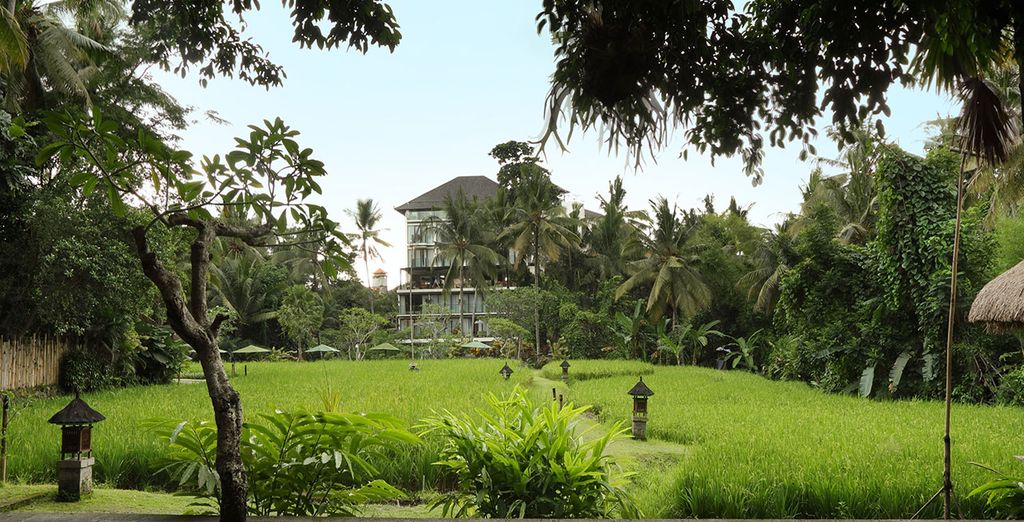 Ubud e Bali in tour di 7 notti