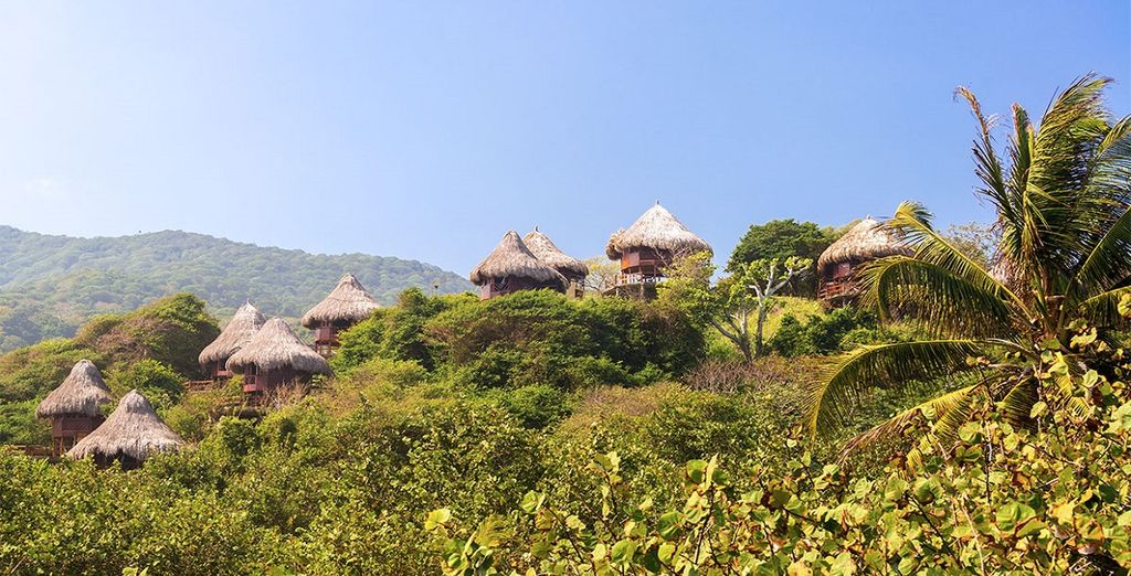 Tour privato tra la natura e le città della Colombia