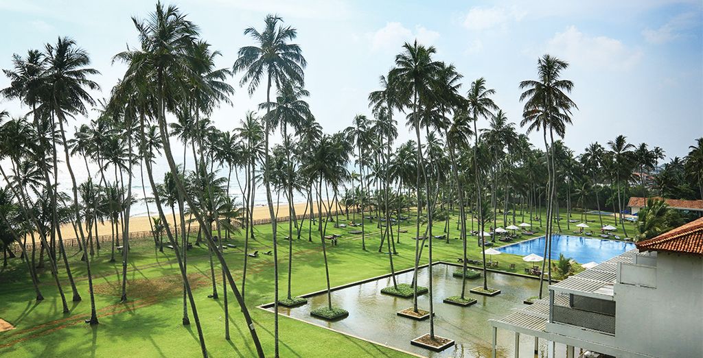 Tour privato Sri Lanka in 5* o 5* lusso  con possibile soggiorno al Park Rotana 5* Abu Dhabi