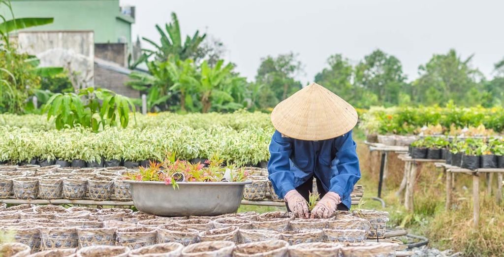 Crociera dal tempio di Angkor a Ho Chi Minh lungo il Mekong
