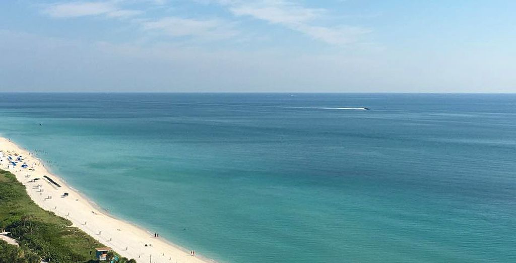 Roosevelt Hotel + Le Pavillon Hotel+ Eden Roc Beach Hotel