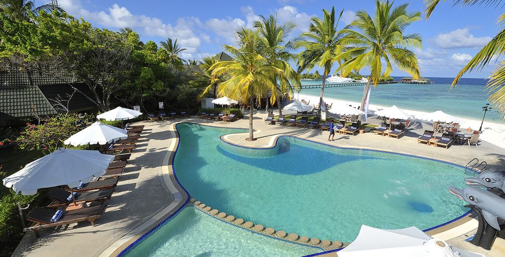 Holiday Island 4* - Sun Island 4* - Paradise Island 5*