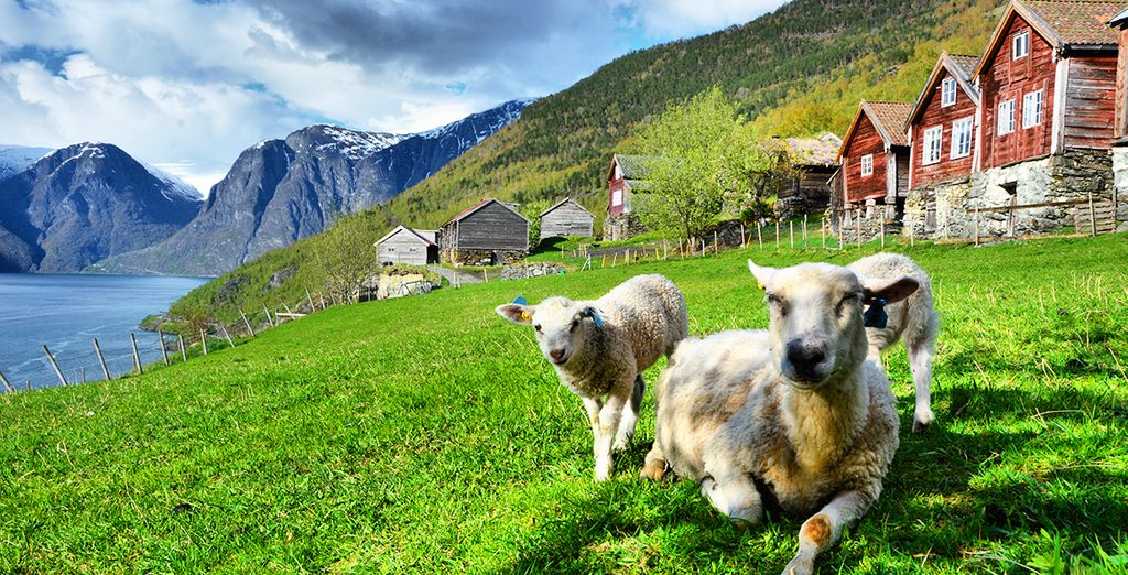 Alla scoperta dei Fiordi Norvegesi