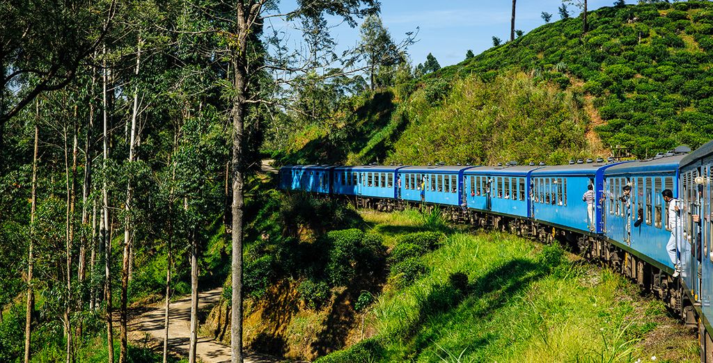 Tour privato in Sri Lanka con possibile soggiorno a Dubai
