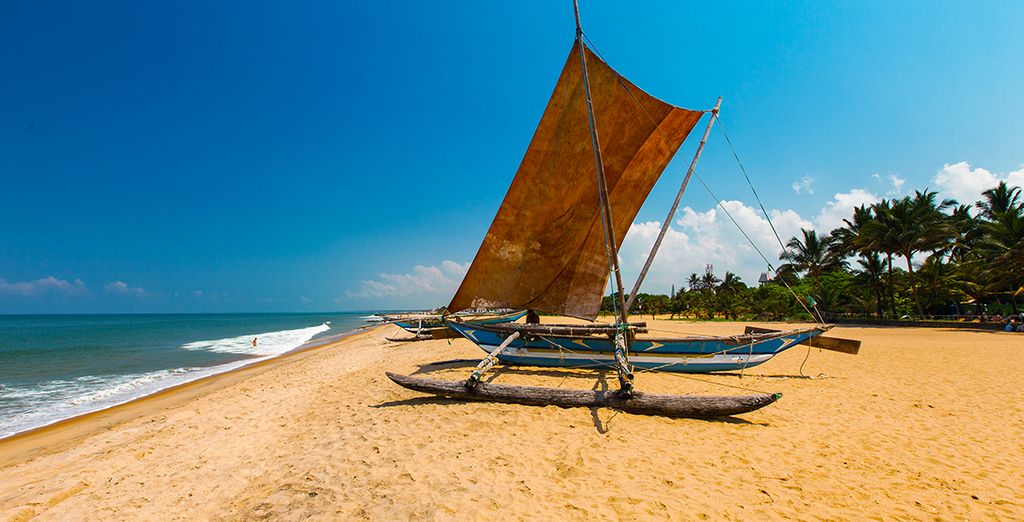 Tour dello Sri Lanka in 5 notti + estensione mare