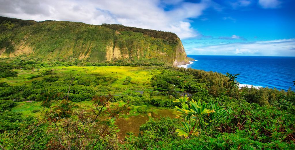Hawaii Experience - Island hopping tra le isole di Oahu, Kauai e Big Island