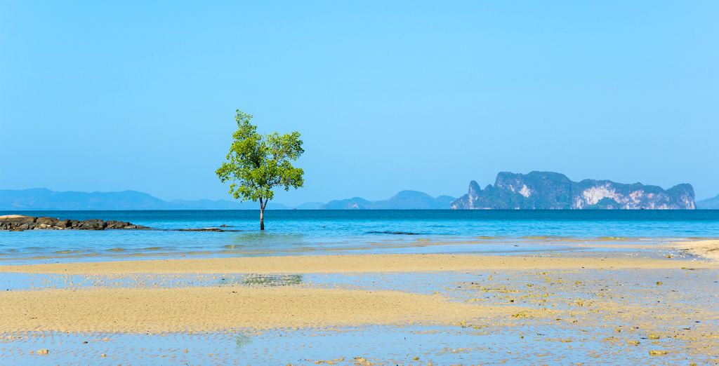 The Tide Beachfront Siray 5* & The Elements Krabi Resort 4*