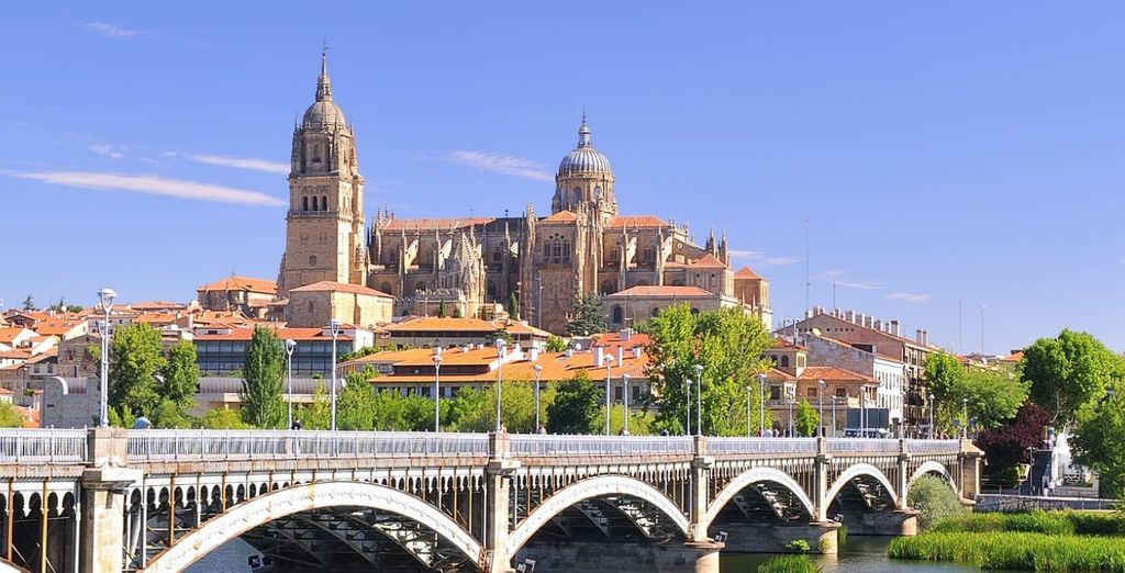 In tour da Madrid con guida parlante italiano