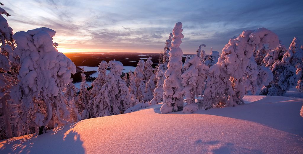 Lapponia safari delle Meraviglie