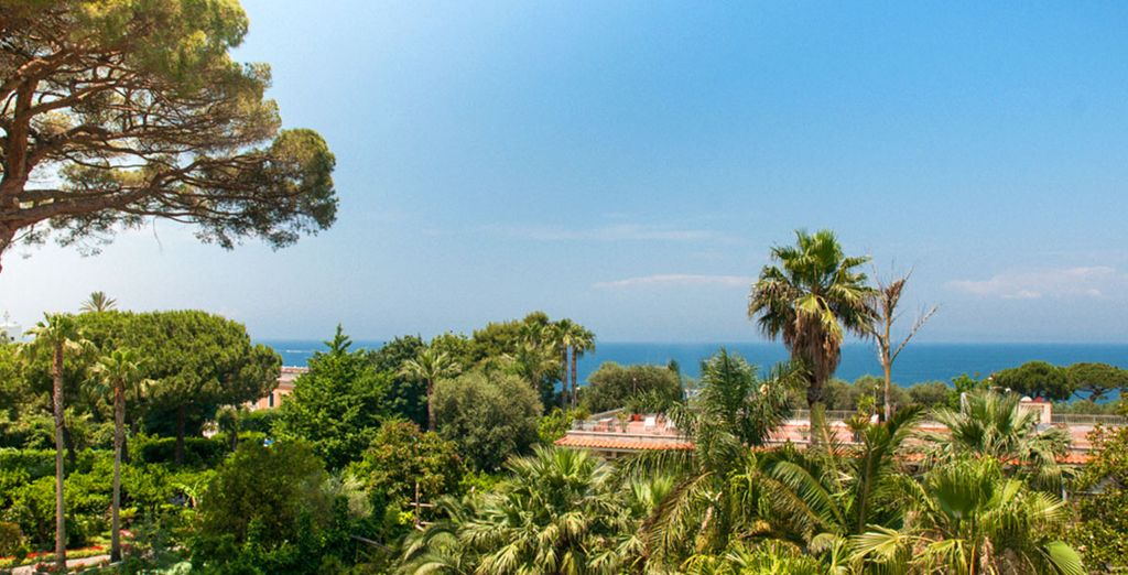 Hotel Eliseo Park's 4*