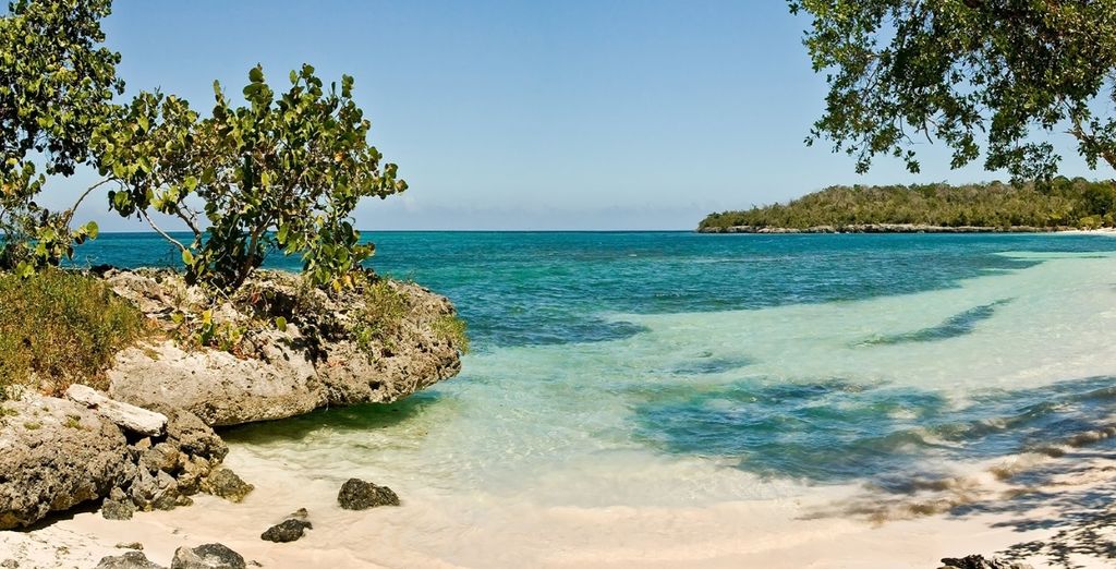Paradisus Rio De Oro Resort & SPA 5*