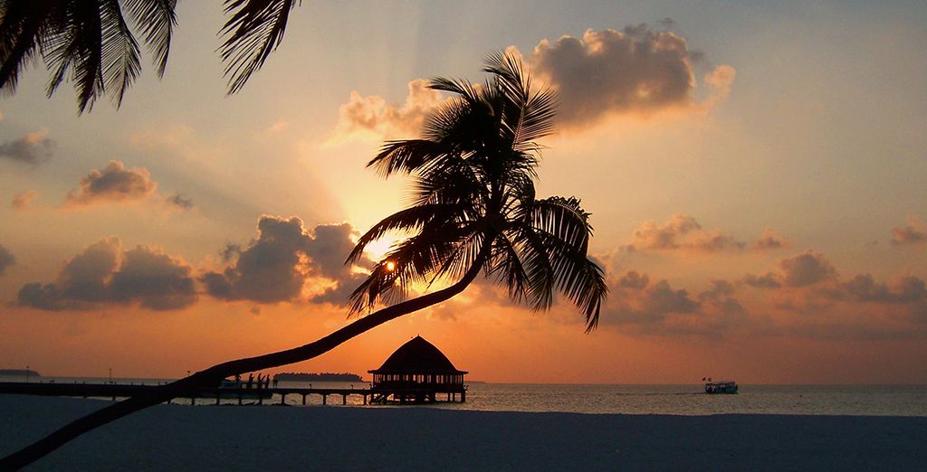 Vivanta by Taj Coral Reef 5*
