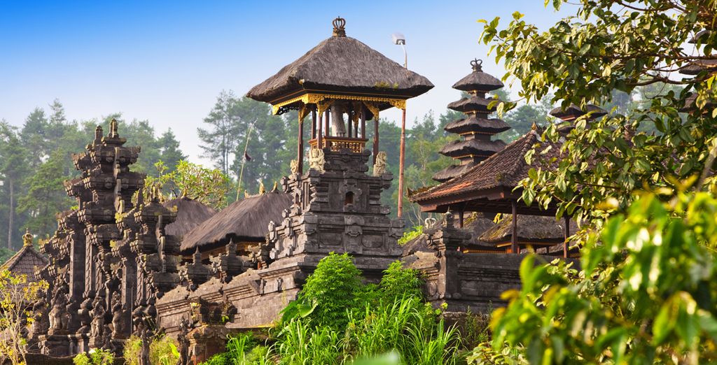 Minitour Ubud, Candidasa, Lovina con soggiorno mare a Nusa Dua