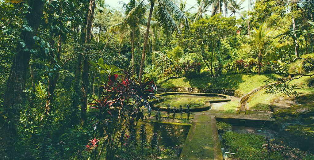 Minitour Ubud, Candidasa, Lovina con soggiorno mare a Nusa Dua