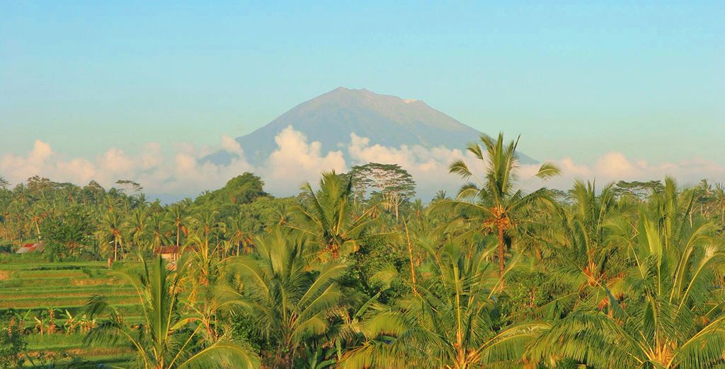 Minitour Ubud, Candidasa, Lovina con soggiorno mare a Nusa Dua